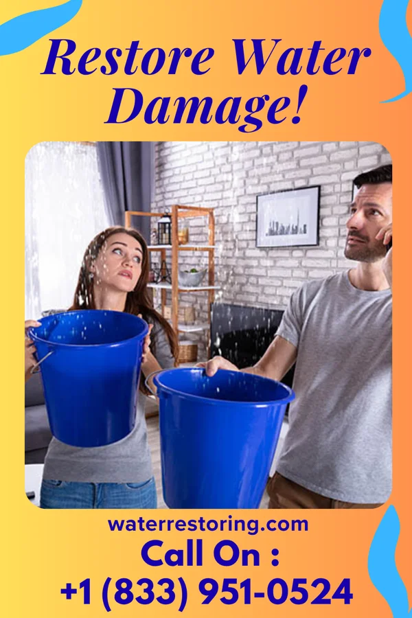 water restoration Elite Cleanup Co Pineview