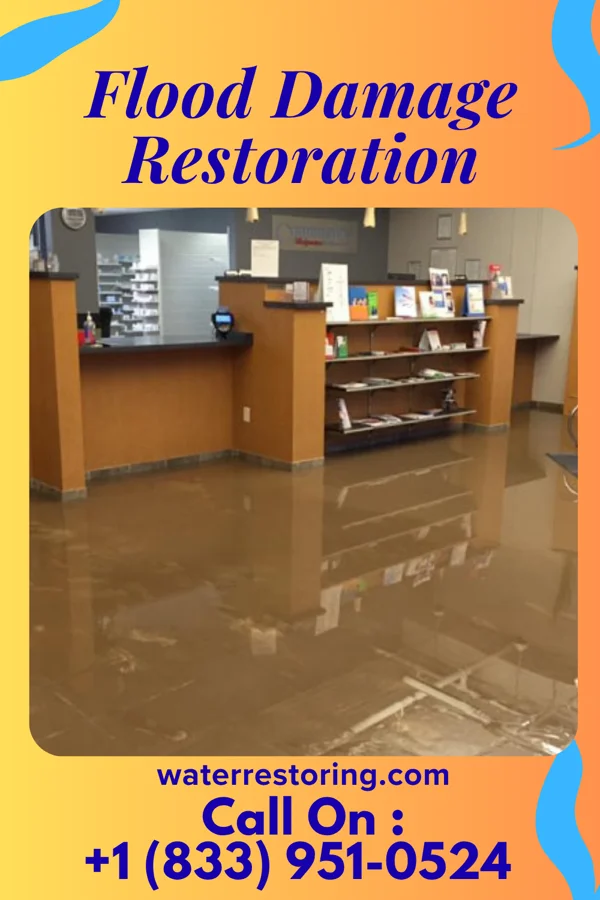 Flood Damage Restoration in Pineview, GA