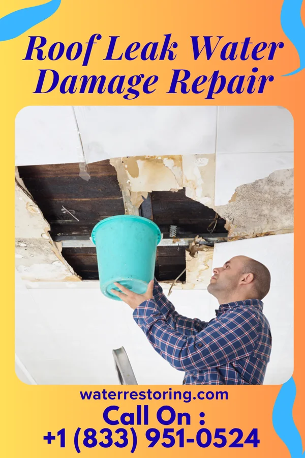 Roof Leak Water Damage Repair in Pineview, GA