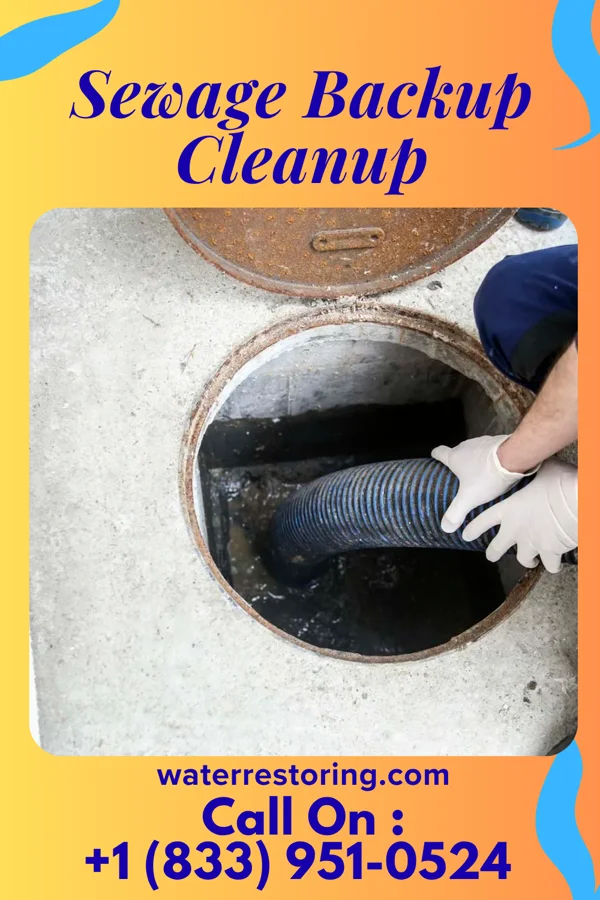 Sewage Backup Cleanup in Pineview, GA